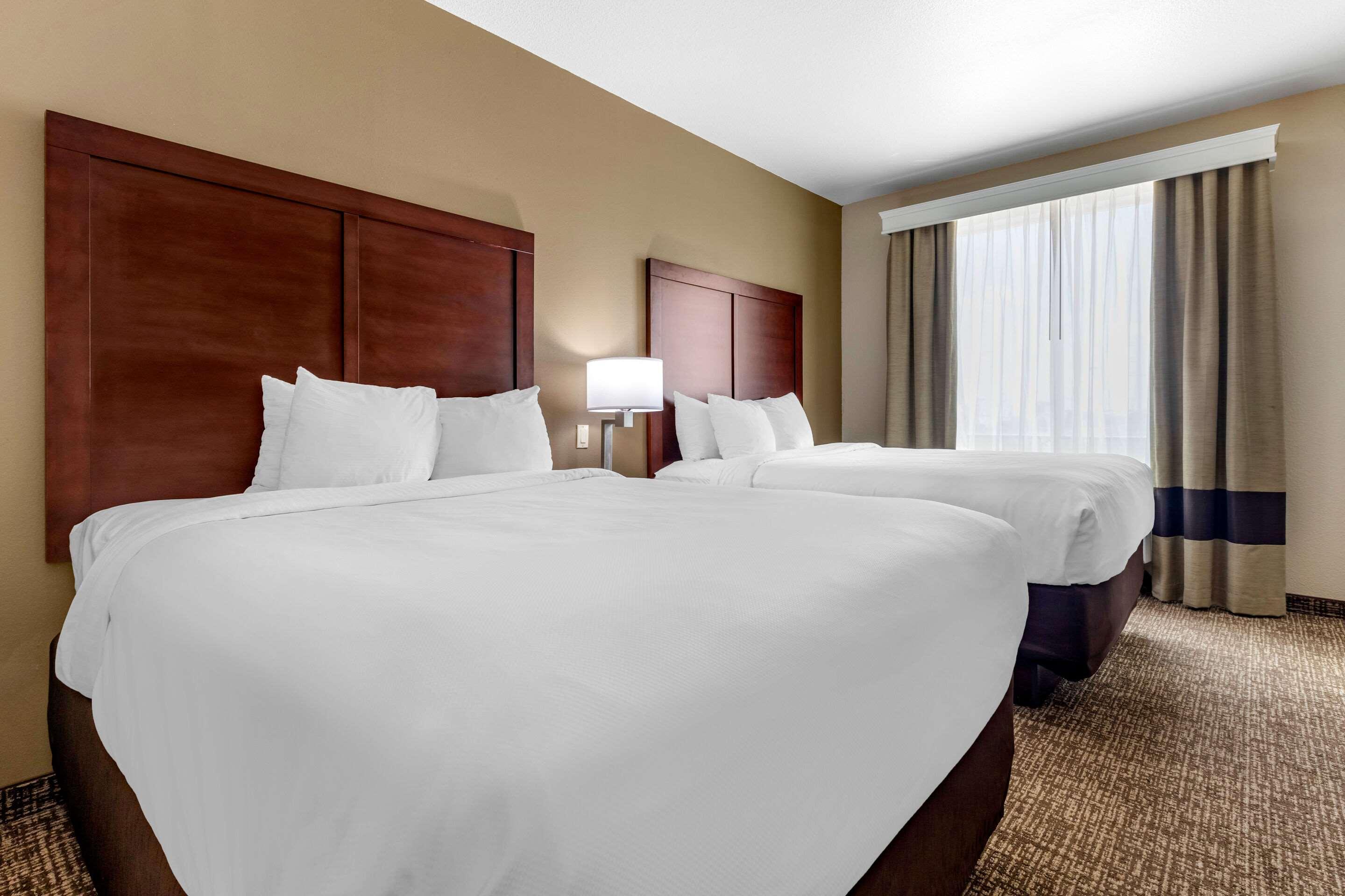Comfort Inn & Suites Near Lake Lewisville Corinth Esterno foto